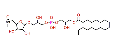 AsSugPL 734